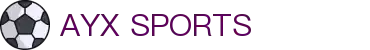 AYX·爱游戏「中国」官方网站_AYX GAME