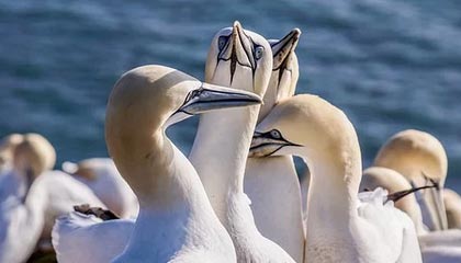 爱游戏体育-赛程密集导致伤病高发是否影响排名波动趋势