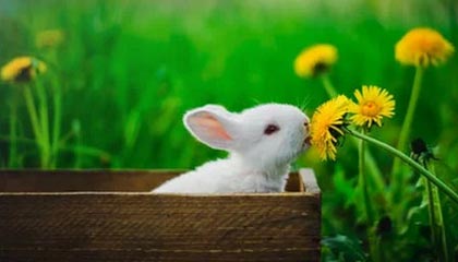 爱游戏体育-赛程密集导致伤病高发是否影响排名波动趋势