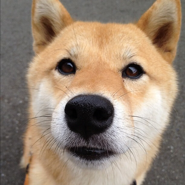 NBA球员慈善活动走进中国校园，nba慈善家