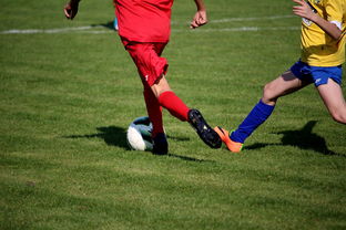 爱游戏app下载-拳击国家队备战亚运 实施精英训练计划，拳击亚军奖杯照片