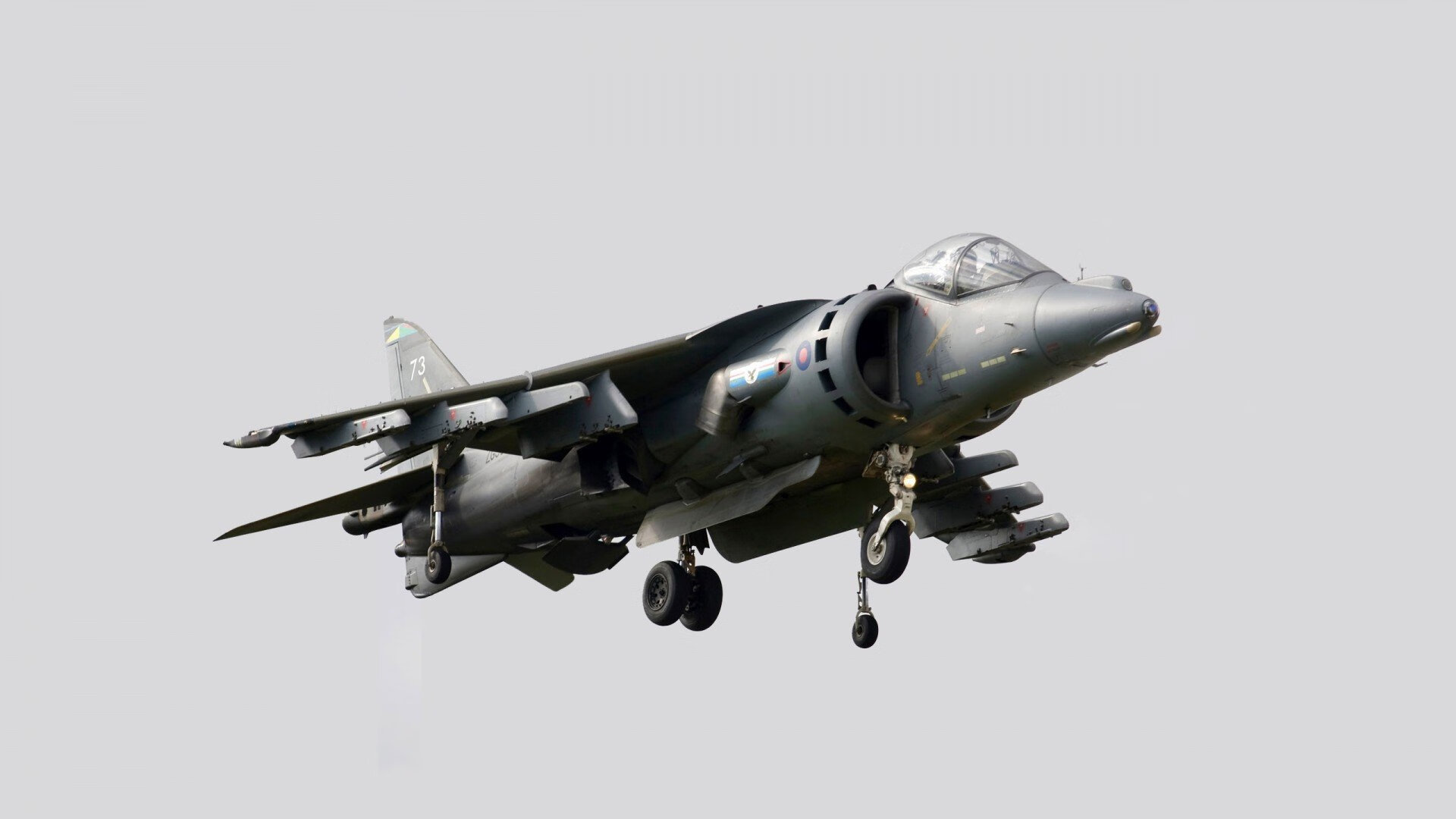 自由泳划频对比揭示冲刺差异，自由泳划水频率越快速度越快吗