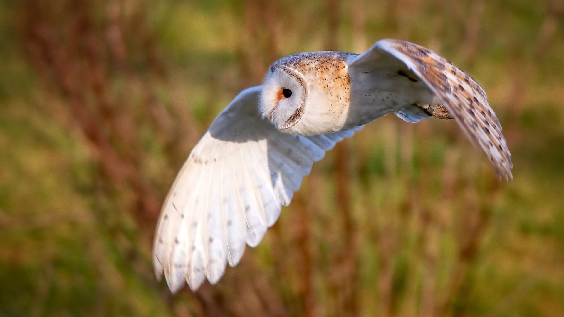 爱游戏综合娱乐-体育新闻中心通告暑期青少年体能培训课程信息，青少年体能训练营海报